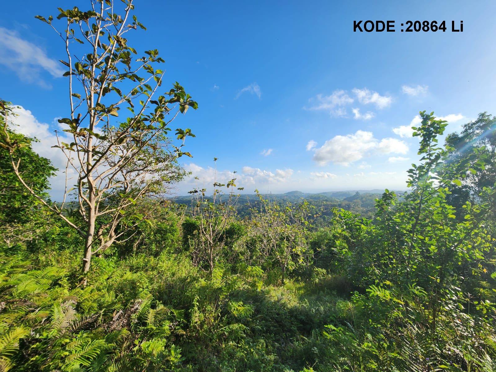 Dijual Tanah Nusa Penida, Luas 13.700 Meter, Kode :20864 Li