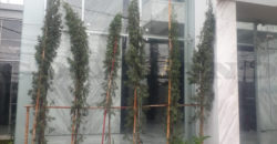 Kode: 16031(Js), Gedung Dijual Raya Siloam, Luas 1500 meter, Jakarta Barat