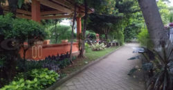 Kode: 15733(Si/Yg), Rumah Dijual Sunter, Hadap Selatan-Timur, Luas 12×21 meter(252 meter), Jakarta Utara