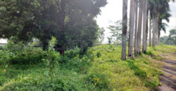 Kode: 16207(Js), Tanah Dijual Tanjung Sari Sukabumi, Luas 6500 meter, Sukabumi