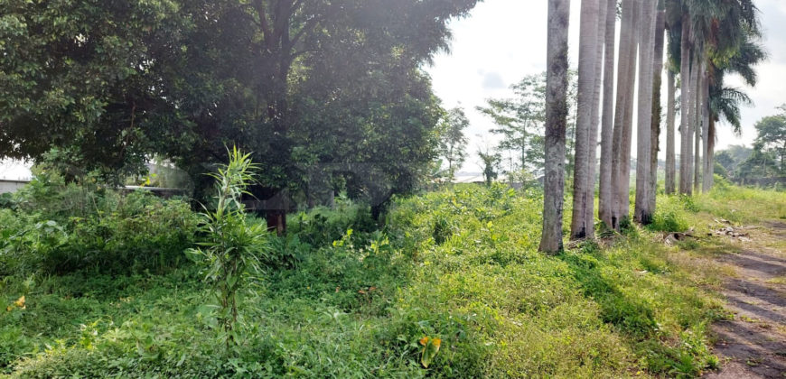 Kode: 16207(Js), Tanah Dijual Tanjung Sari Sukabumi, Luas 6500 meter, Sukabumi