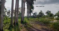Kode: 16207(Js), Tanah Dijual Tanjung Sari Sukabumi, Luas 6500 meter, Sukabumi