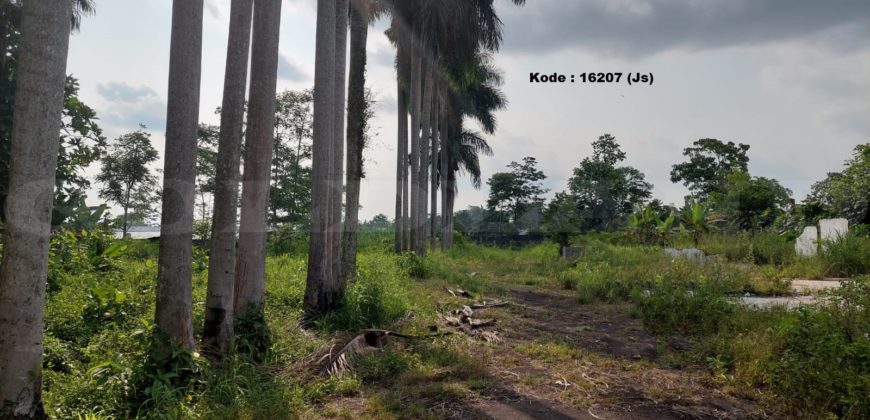 Kode: 16207(Js), Tanah Dijual Tanjung Sari Sukabumi, Luas 6500 meter, Sukabumi
