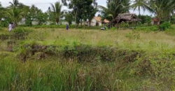 Kode: 16376(Js), Tanah Dijual Tanjung Lesung Banten, Luas 1,2 Ha, Banten