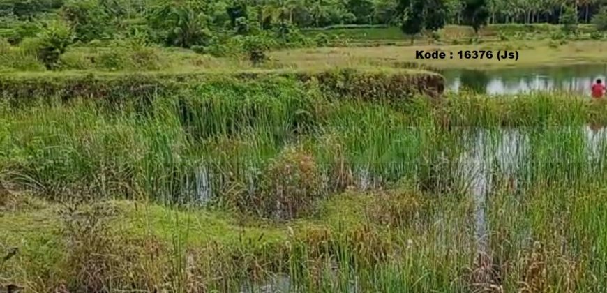 Kode: 16376(Js), Tanah Dijual Tanjung Lesung Banten, Luas 1,2 Ha, Banten