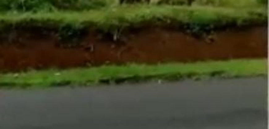 Kode : 14474 (Br/Fd/At), DIjual Tanah Sukabumi, Luas 9.320 meter (85×109 meter), Jawa barat