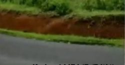 Kode : 14474 (Br/Fd/At), DIjual Tanah Sukabumi, Luas 9.320 meter (85×109 meter), Jawa barat