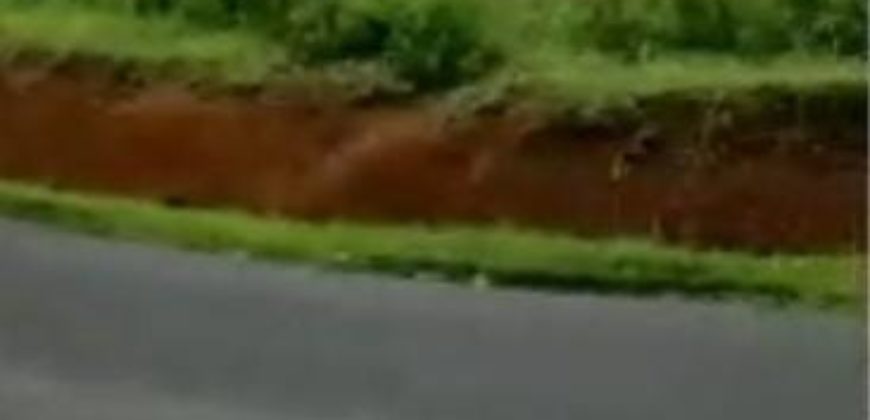 Kode : 14474 (Br/Fd/At), DIjual Tanah Sukabumi, Luas 9.320 meter (85×109 meter), Jawa barat