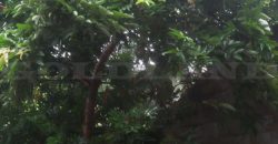 Kode : 16581 (Br/Fd/At), Dijual rumah Semper, Luas 188 meter, Jakarta Utara