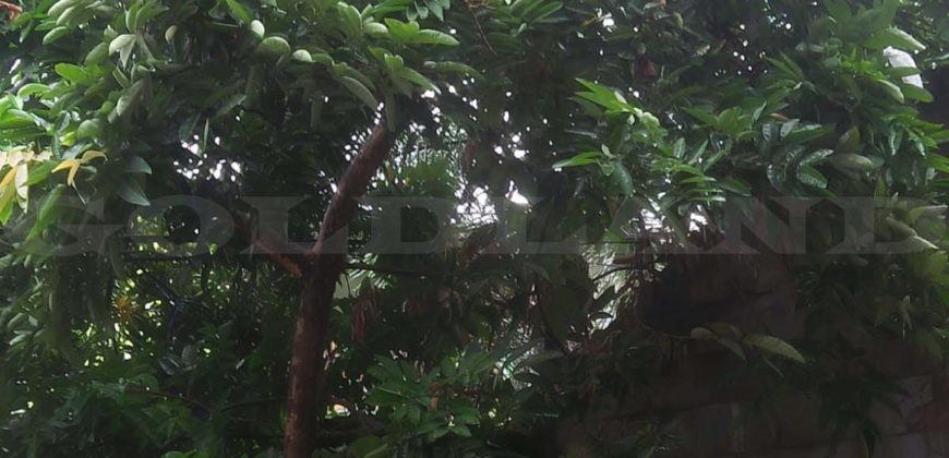 Kode : 16581 (Br/Fd/At), Dijual rumah Semper, Luas 188 meter, Jakarta Utara