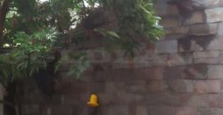 Kode : 16581 (Br/Fd/At), Dijual rumah Semper, Luas 188 meter, Jakarta Utara