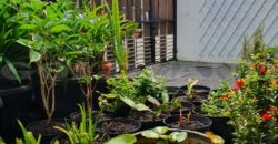 Kode : 16750 (Sh), Dijual rumah kelapa gading, Luas 102 meter (6×17 m2), jakrta Utara