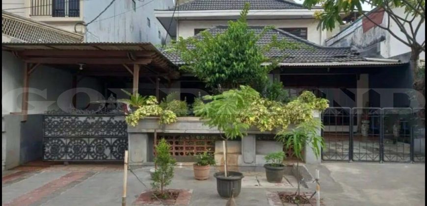 Kode : 16423 (Dj), Dijual rumah grogol, Luas 313.01 meter (11.3×27.7 meter), Jakarta Barat