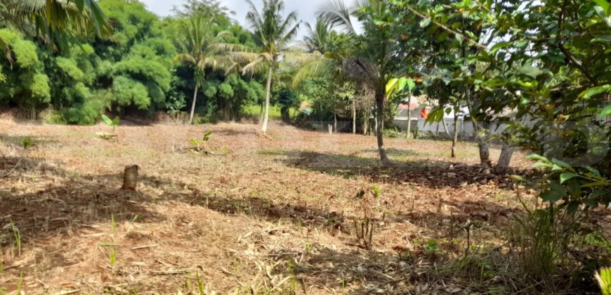 Kode : 16925 (Jm/Ha), Dijual Tanah Citayam, Luas 5.070 meter, Bogor