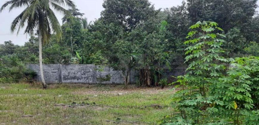 Kode : 17213 (Si), Dijual Tanah Kampung pasir, Luas 2.500 meter, Banten