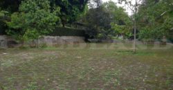 Kode : 17741 (Js/Ir), Dijual tanah Gunungsari, Luas 5.4 HA, Serang barat