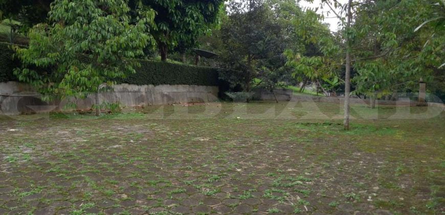 Kode : 17741 (Js/Ir), Dijual tanah Gunungsari, Luas 5.4 HA, Serang barat