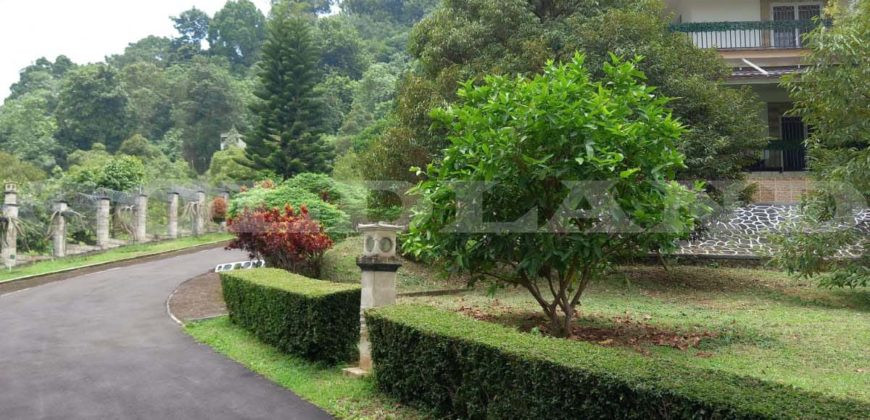 Kode : 17741 (Js/Ir), Dijual tanah Gunungsari, Luas 5.4 HA, Serang barat