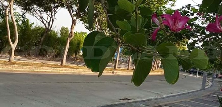 Kode : 17825 (Si/Dj), Dijual ruko segara city, Luas 49.5 meter (4.5×11 m2),Bekasi