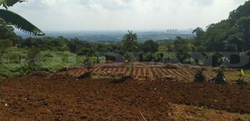 Kode : 18612 (Ta/Dj), Dijual tanah babakan, luas 15.016 meter, Bogor