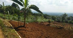 Kode : 18612 (Ta/Dj), Dijual tanah babakan, luas 15.016 meter, Bogor