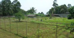 Kode : 18652 (Ta/Dj), Dijual tanah ciawi, luas 17.140 meter, Bogor