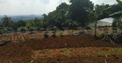 Kode : 18612 (Ta/Dj), Dijual tanah babakan, luas 15.016 meter, Bogor