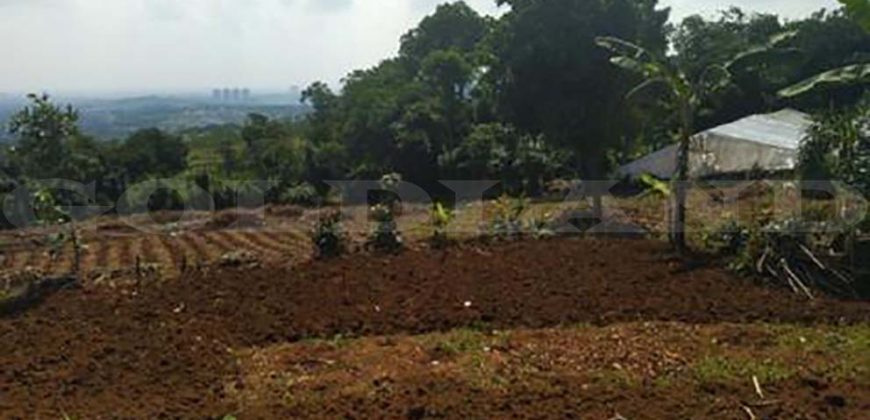 Kode : 18612 (Ta/Dj), Dijual tanah babakan, luas 15.016 meter, Bogor