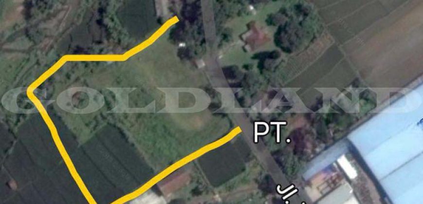 Kode : 18611 (Ta/Dj), Dijual tanah cicurug, luas 9890 meter, Sukabumi