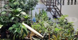 Kode : 18773 (Br/Fd), Dijual rumah senen, luas 215 meter, jakarta Pusat
