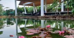 Kode : 18462 (Ta/Fd), Dijual tanah banjaran, luas 4000 meter, bandung