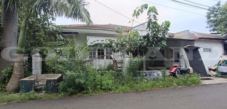 Kode : 19503 (Dj), Disewa rumah sunter, luas 243 meter, Jakarta Utara