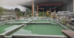 Kode : 19538 (Dj), Dijual gudang gunung putri, luas 18.605 m2, Bogor