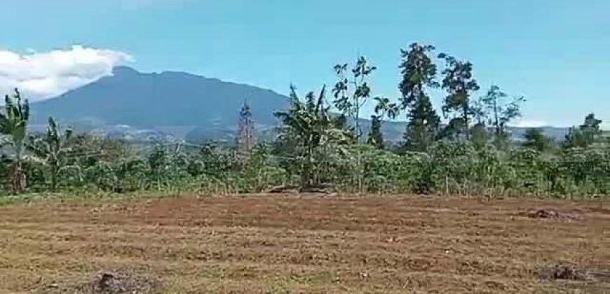 Kode : 19882 (Ad), Dijual tanah sukaraja, luas 984 m2, Bogor