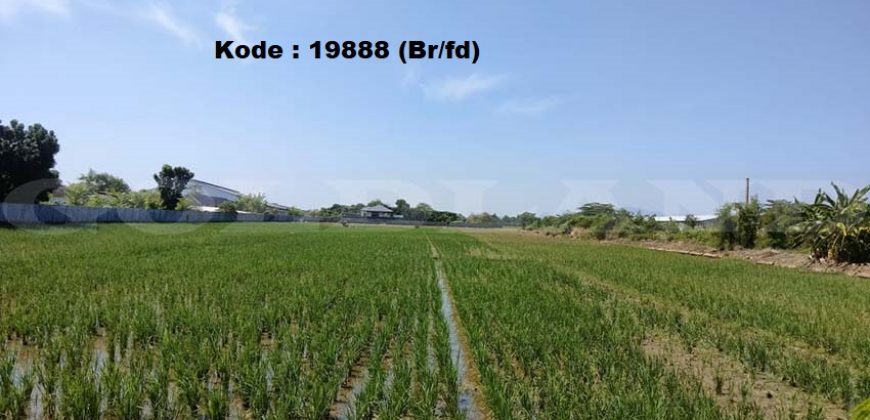 Kode : 19888 (Br/Fd), Dijual tanah majalengka, luas 2 Ha, Jawa barat