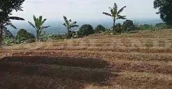 Kode : 19882 (Ad), Dijual tanah sukaraja, luas 984 m2, Bogor