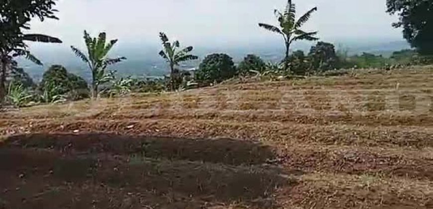 Kode : 19882 (Ad), Dijual tanah sukaraja, luas 984 m2, Bogor