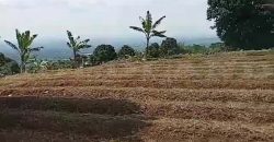 Kode : 19882 (Ad), Dijual tanah sukaraja, luas 984 m2, Bogor