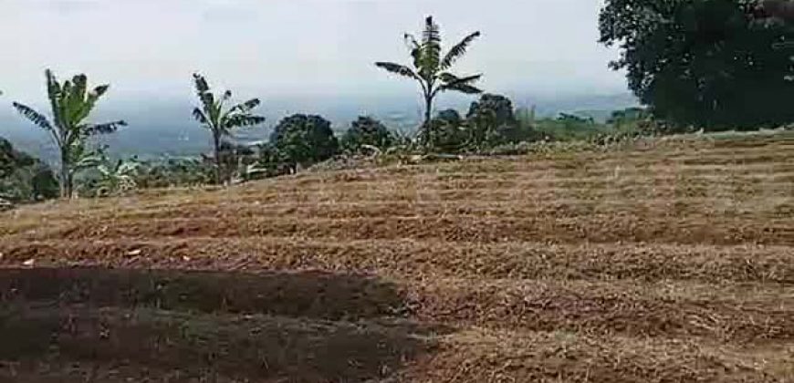 Kode : 19882 (Ad), Dijual tanah sukaraja, luas 984 m2, Bogor