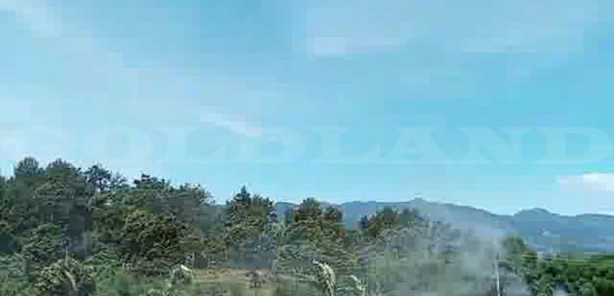 Kode : 19882 (Ad), Dijual tanah sukaraja, luas 984 m2, Bogor