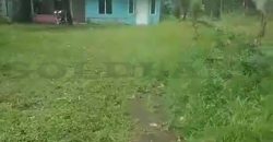 Kode : 19881 (Ad), Dijual rumah bogor, luas 700 m2, Jawa Barat