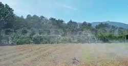 Kode : 19882 (Ad), Dijual tanah sukaraja, luas 984 m2, Bogor