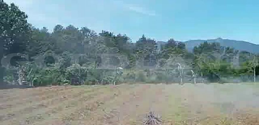 Kode : 19882 (Ad), Dijual tanah sukaraja, luas 984 m2, Bogor