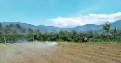 Kode : 19882 (Ad), Dijual tanah sukaraja, luas 984 m2, Bogor