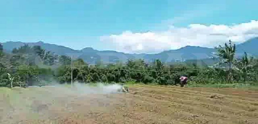 Kode : 19882 (Ad), Dijual tanah sukaraja, luas 984 m2, Bogor