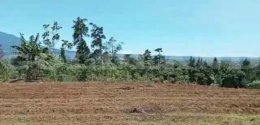 Kode : 19882 (Ad), Dijual tanah sukaraja, luas 984 m2, Bogor