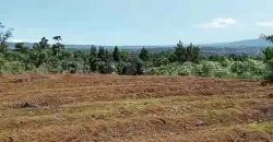 Kode : 19882 (Ad), Dijual tanah sukaraja, luas 984 m2, Bogor