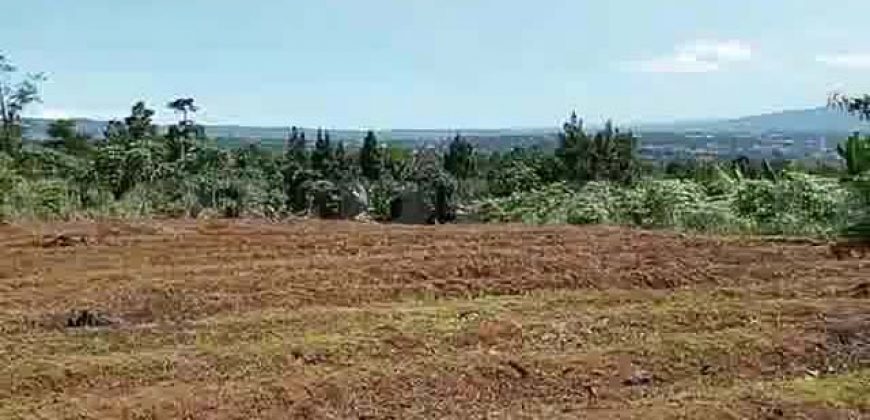 Kode : 19882 (Ad), Dijual tanah sukaraja, luas 984 m2, Bogor