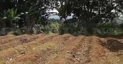 Kode : 19882 (Ad), Dijual tanah sukaraja, luas 984 m2, Bogor