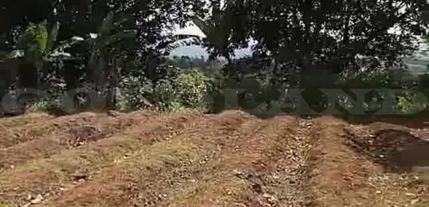 Kode : 19882 (Ad), Dijual tanah sukaraja, luas 984 m2, Bogor